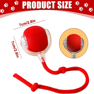 Rocky Balle roulante pour chien