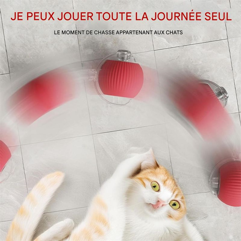 Rocky Balle roulante pour chien