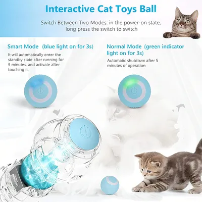 Rocky Paws Balle Intelligente Électrique pour Chat