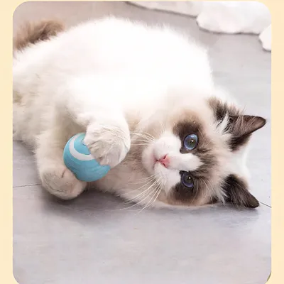 Rocky Paws Balle Intelligente Électrique pour Chat