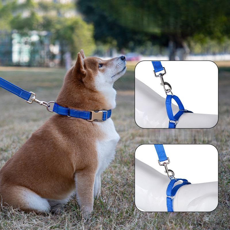 Zoomtopia Collier antidéflagrant P-chain 2-en-1