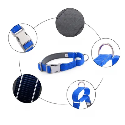 Zoomtopia Collier antidéflagrant P-chain 2-en-1