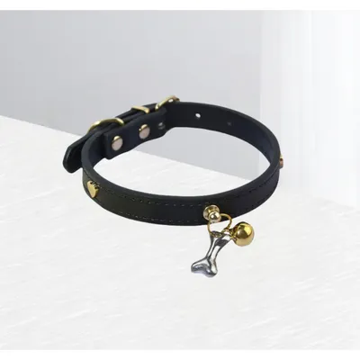 Zoomtopia Collier élégant et confortable pour chien