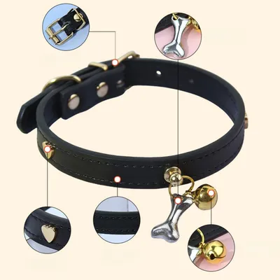 Zoomtopia Collier élégant et confortable pour chien