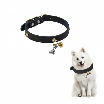Zoomtopia Collier élégant et confortable pour chien Zoomtopia Collier élégant et confortable pour chien