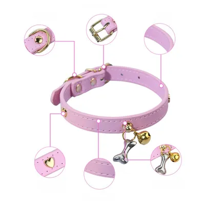 Zoomtopia Collier élégant et confortable pour chien