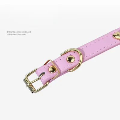 Zoomtopia Collier élégant et confortable pour chien