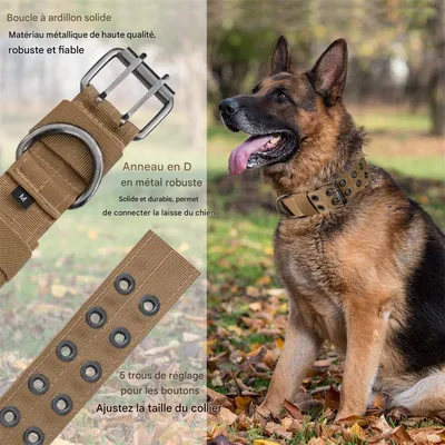 Pawzy Collier de dressage pour chien