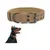 Pawzy Collier de dressage pour chien Pawzy Collier de dressage pour chien