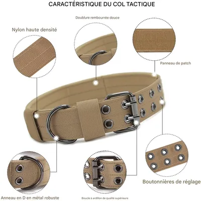 Pawzy Collier de dressage pour chien