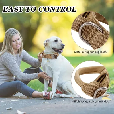 Zoomtopia Harnais pour chien