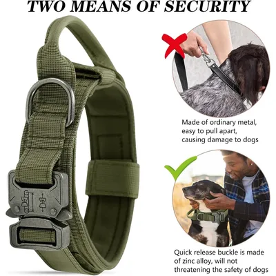 Zoomtopia Harnais pour chien