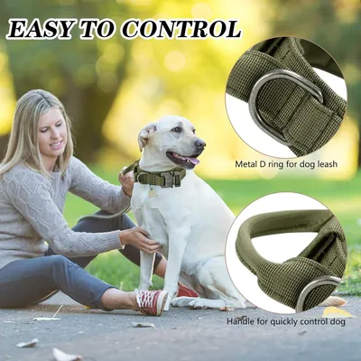 Zoomtopia Harnais pour chien