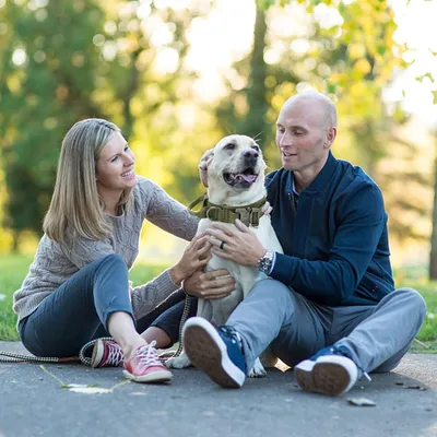 Zoomtopia Harnais pour chien