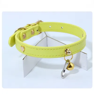 Zoomtopia Collier élégant et confortable pour chien