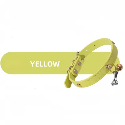 Zoomtopia Collier élégant et confortable pour chien