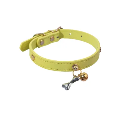 Zoomtopia Collier élégant et confortable pour chien