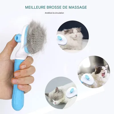 Rocky Brosse de toilettage pour chien et chat