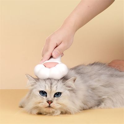 Rocky Peigne à griffes pour chat