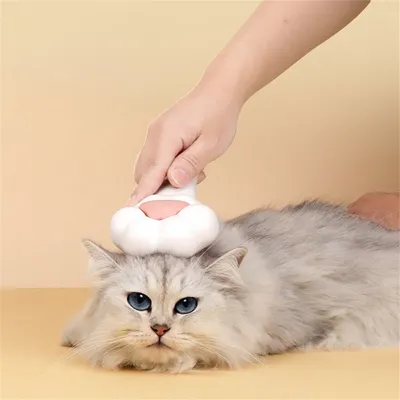 Rocky Peigne à griffes pour chat