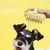Zoomtopia Brosse de bain pour animaux