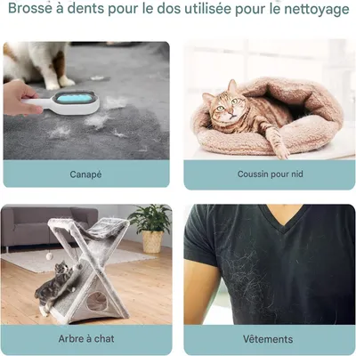 Rocky Brosse 2 en 1 pour chat