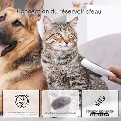 Rocky Brosse 2 en 1 pour chat