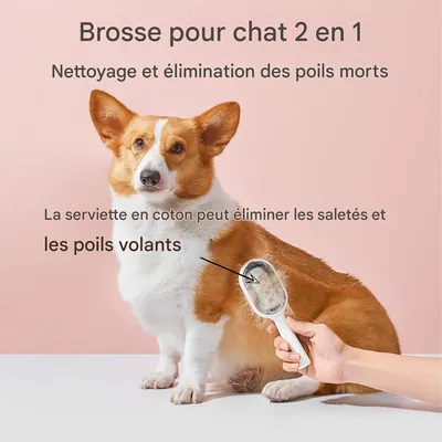 Rocky Brosse 2 en 1 pour chat