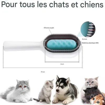 Rocky Brosse 2 en 1 pour chat