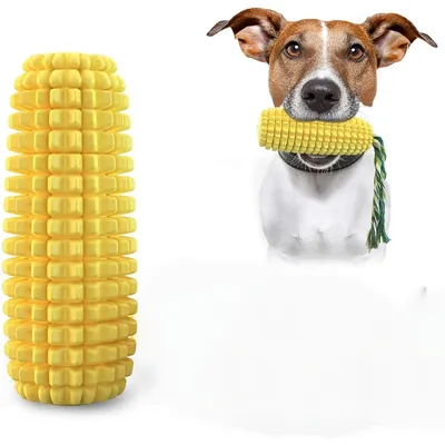 Zoomtopia  Os pour chien