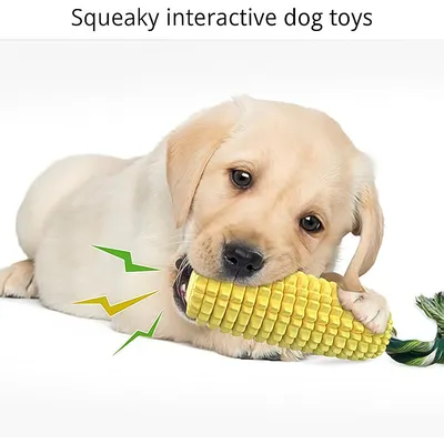 Zoomtopia  Os pour chien