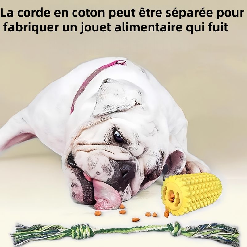 Zoomtopia  Os pour chien