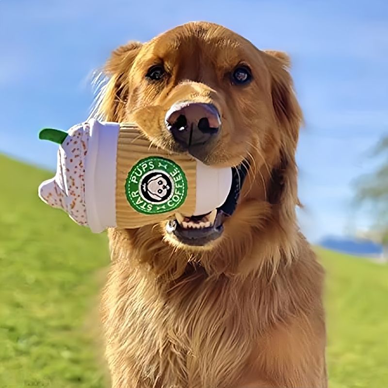 Zoomtopia Jouet tasse à café pour chien