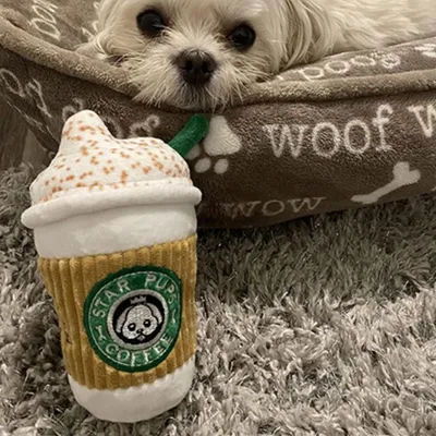 Zoomtopia Jouet tasse à café pour chien