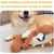 Rocky Jouet couineur en peluche pour chien