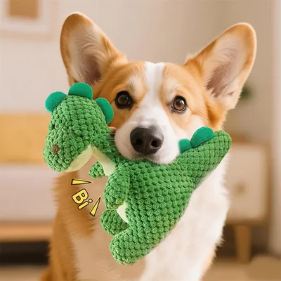 Rocky Jouet pour chien