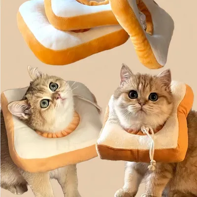 Zoomtopia Collier de récupération pour chat