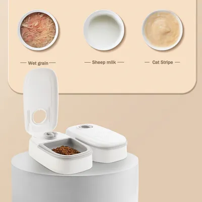 Rocky Mangeoire automatique pour animaux