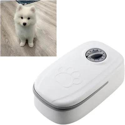 Rocky Mangeoire automatique pour animaux