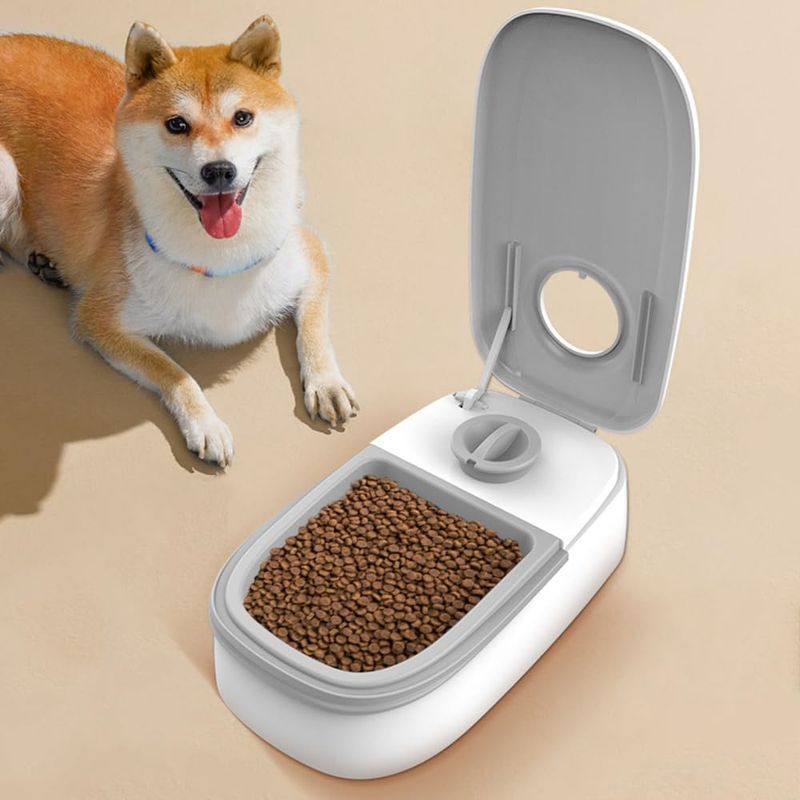 Rocky Mangeoire automatique pour animaux
