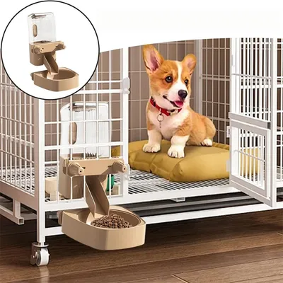 Rocky Bouche - à - eau pour animaux de compagnie