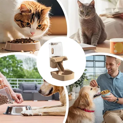 Rocky Bouche - à - eau pour animaux de compagnie