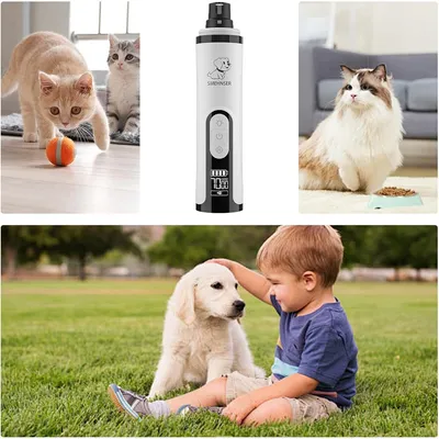 Rocky Broyeur d'ongles pour animaux de compagnie