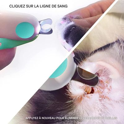 Rocky Pinces pour ongles d'animaux de compagnie