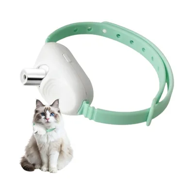 Rocky Collier pour chat