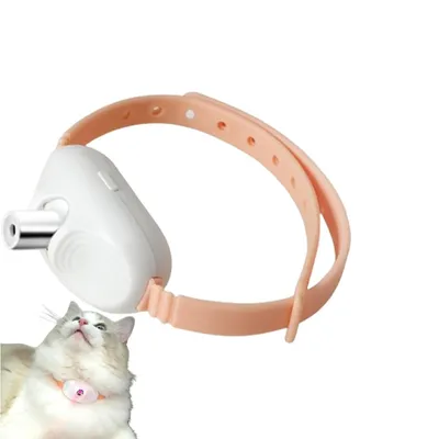 Rocky Collier pour chat