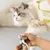 Rocky Hamac de toilettage pour animaux