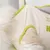Rocky Hamac de toilettage pour animaux