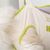 Rocky Hamac de toilettage pour animaux