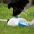 Zoomtopia Fontaine à Pédale pour chien